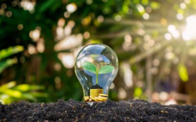 Astuces pour une rénovation énergétique de votre villa